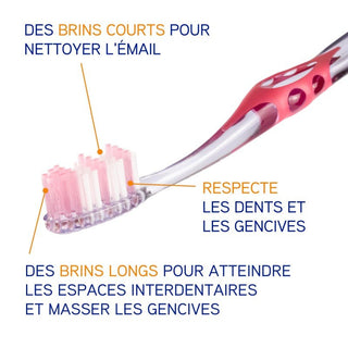 ELGYDIUM Interactive Brosse à Dents Souple