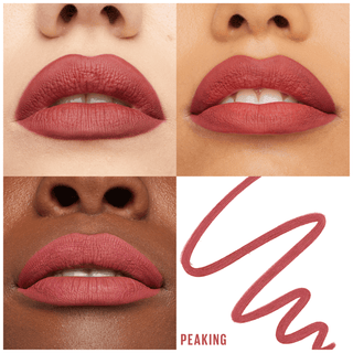 Maybelline Lifter Liner Lip Liner 009 PEAKING