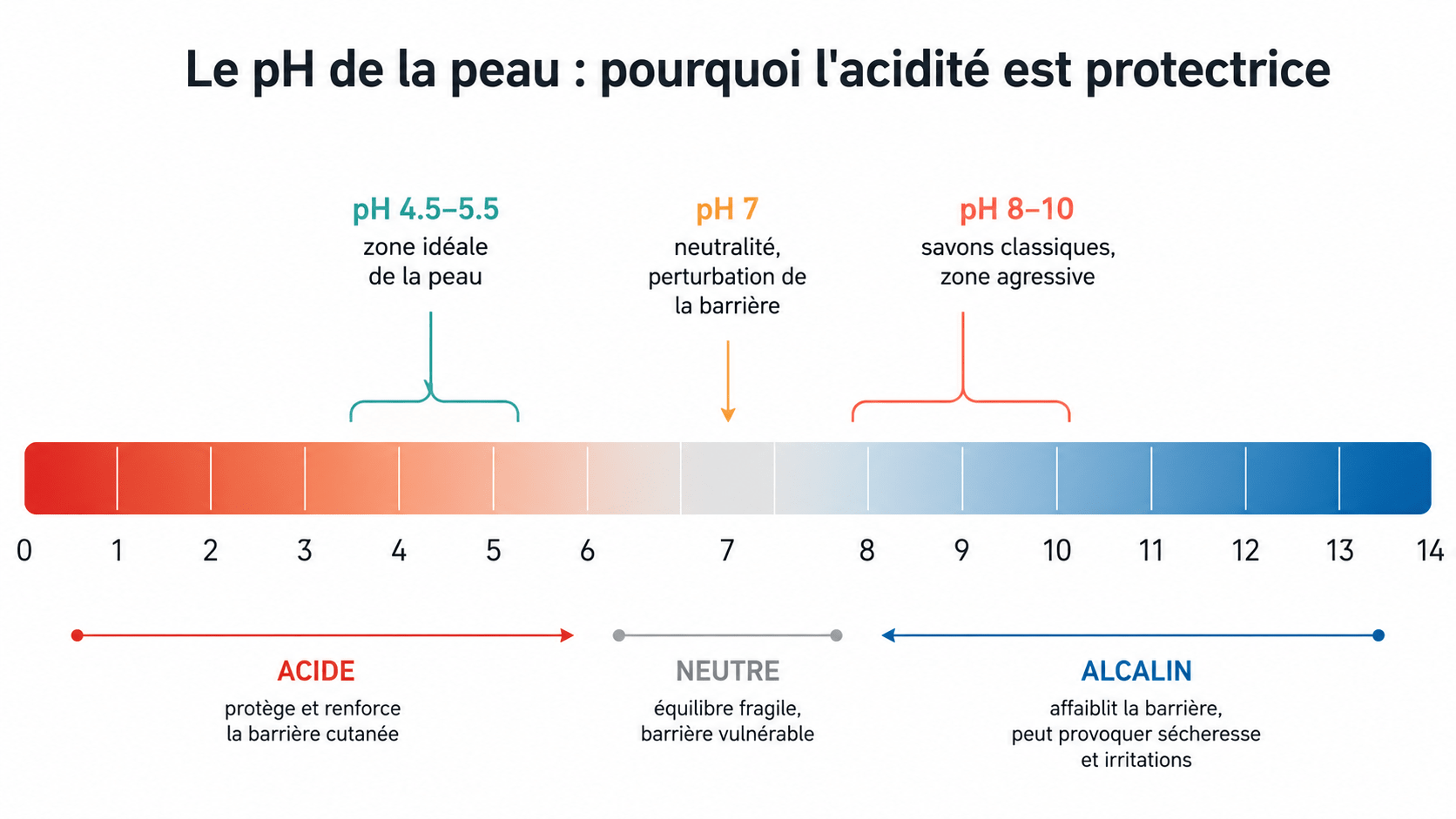 Le pH de la peau: pourquoi l'acidité est protectrice